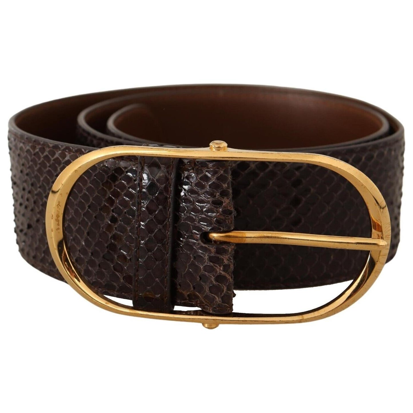 Dolce & Gabbana Elegant Python Leather Belt with Gold Buckle Dolce & Gabbana Black