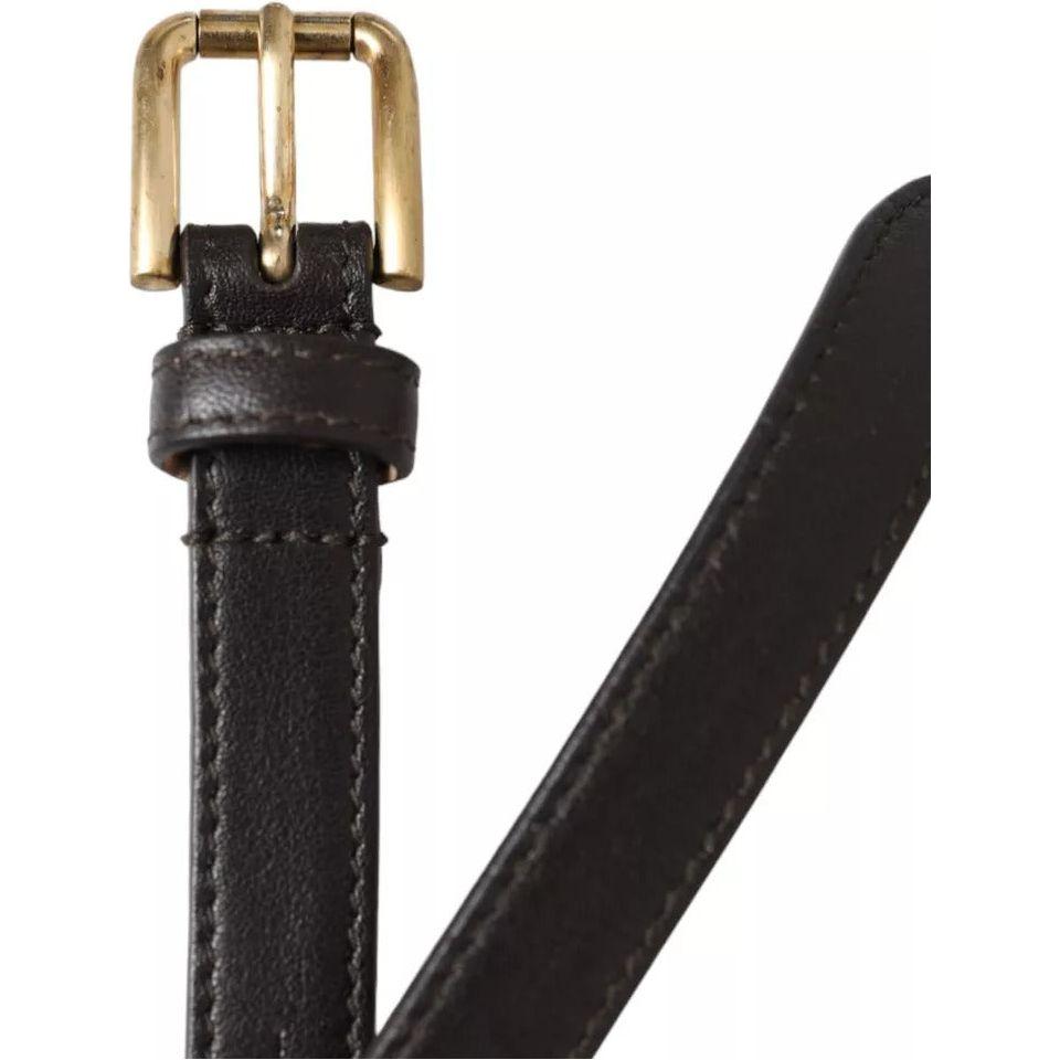 Dolce & Gabbana Dark Brown Leather Gold Metal Buckle Women Belt Dolce & Gabbana Dark Slate Gray