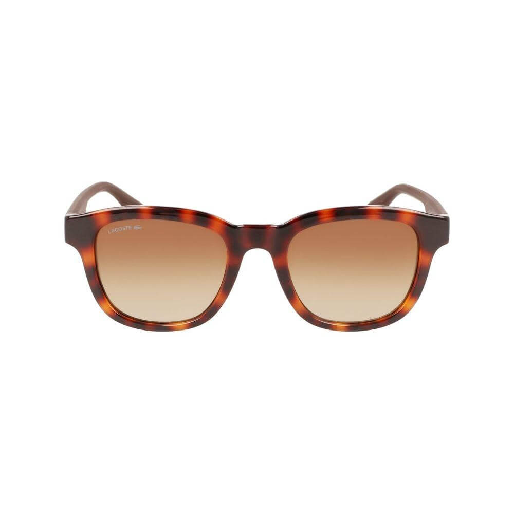 Lacoste Bicolor Injected Sunglasses L966S-230 in Havana with brown gradient lenses, 50/20/145mm sizing, UV filter 3 protection.