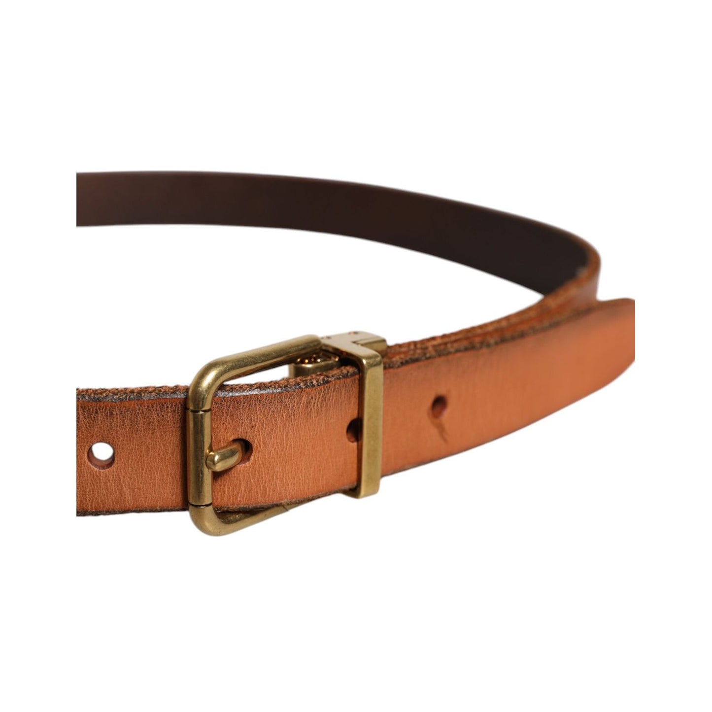 Dolce & Gabbana Brown Leather Gold Tone Metal Buckle Belt BEL9285-90