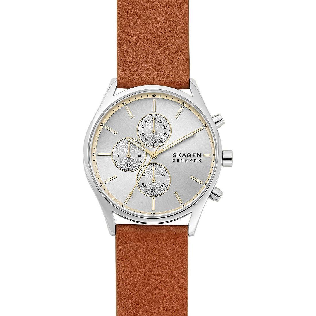 SKAGEN DENMARK Mod. HOLST WATCHES SKAGEN DENMARK Light Gray