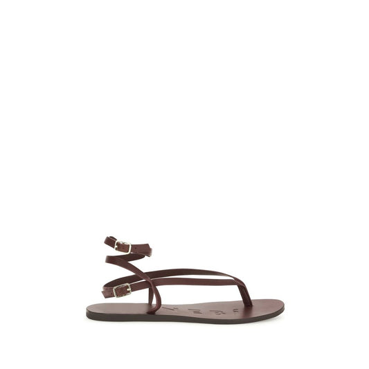 Manebi Brown Calf Leather Bos Taurus Flat Sandals 1728,72470364320,Brown,EU36/US6,EU37/US7,EU38/US8,EU39/US9,EU40/US10,EU41/US11,Flat - Sandals - Shoes,Manebi,New with tags,Sandals - Shoes,Shoes,Women