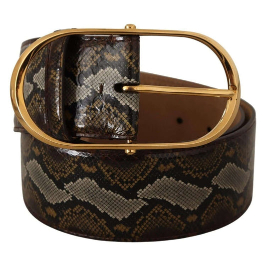 Dolce & Gabbana Elegant Gold Oval Buckle Leather Belt Dolce & Gabbana Dark Slate Gray