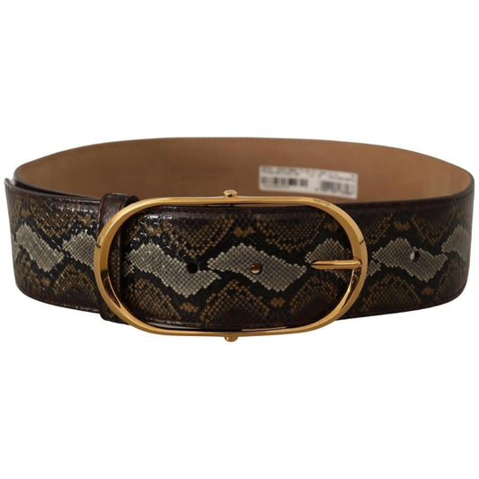 Dolce & Gabbana Elegant Gold Oval Buckle Leather Belt Dolce & Gabbana Dark Slate Gray