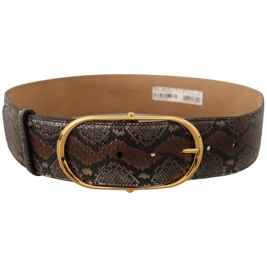Dolce & Gabbana Elegant Brown Leather Belt with Gold Buckle WOMAN BELTS Dolce & Gabbana Dark Slate Gray