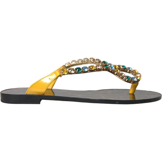 Dolce & Gabbana Mustard Crystal Calf Leather Beachwear Shoes Dolce & Gabbana Dim Gray