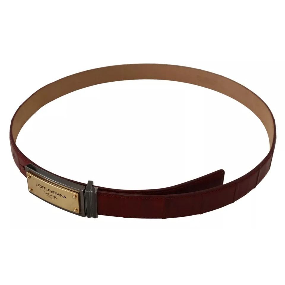 Dolce & Gabbana Brown Leather Gold Engraved Metal Buckle Belt