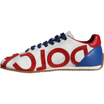 Dolce & Gabbana Multicolor Leather Logo Casual Sneakers Shoes