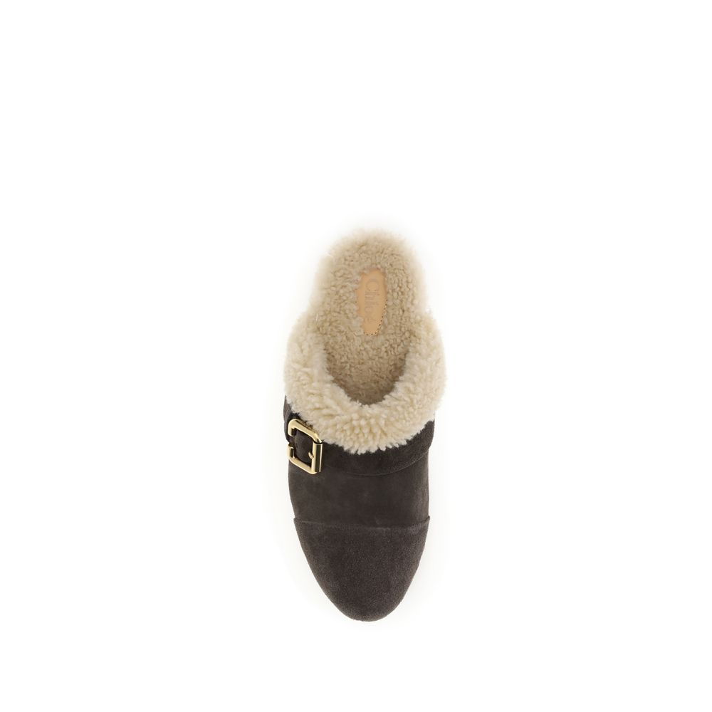 Chloé Brown Lamb Ovis Aries Aries Clogs