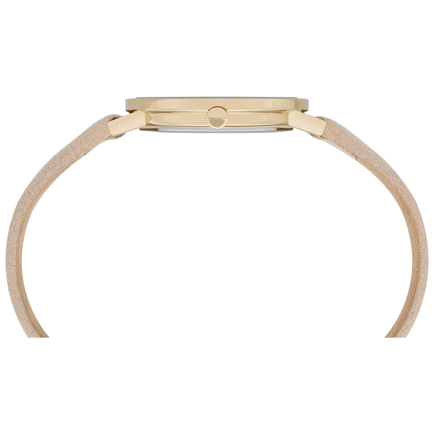 بيير كاردان مود. CBV-1503